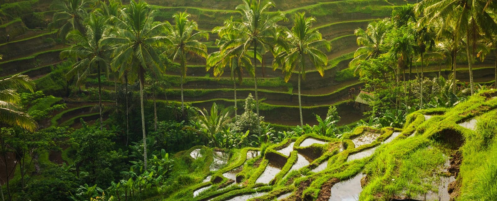 Ubud