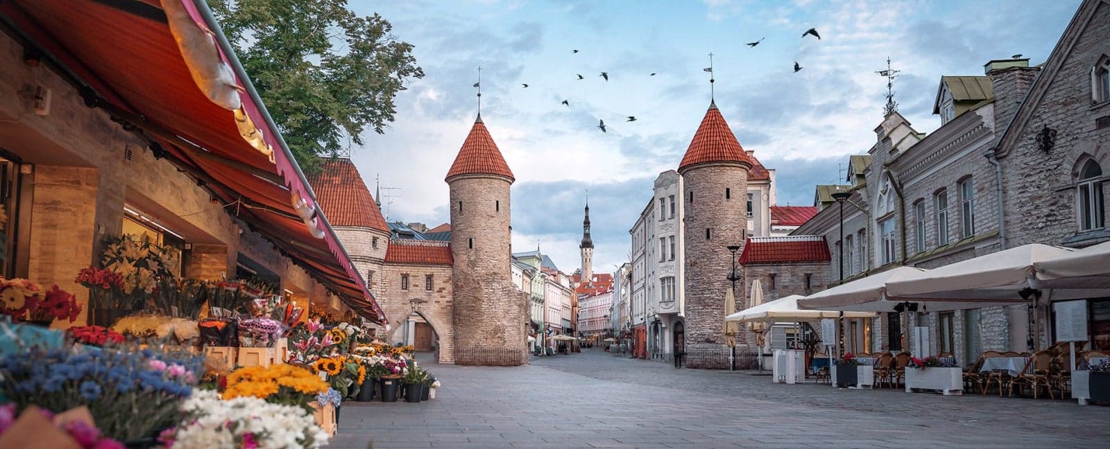 Tallin