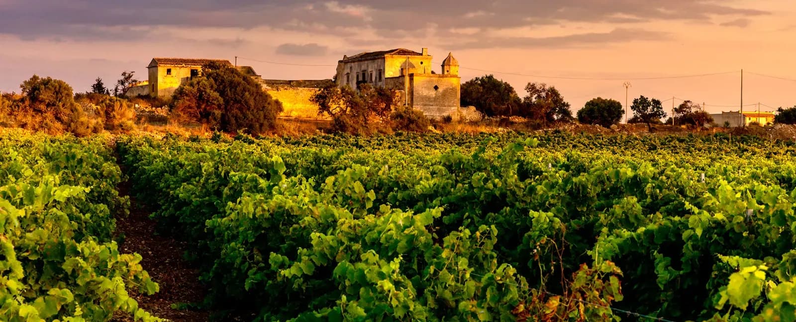 Agrigento - Marsala - Ruta de la sal - Palermo