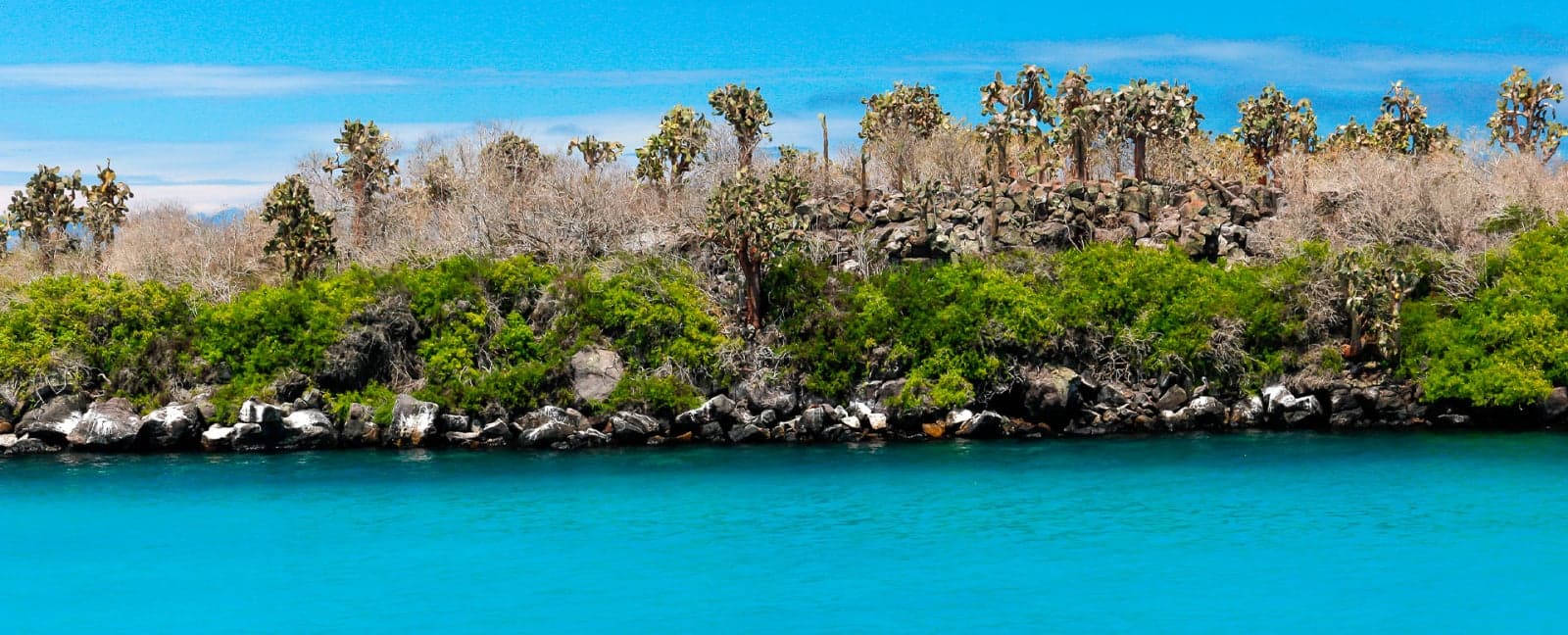 Isla Isabela - Isla Santa Cruz, Galápagos