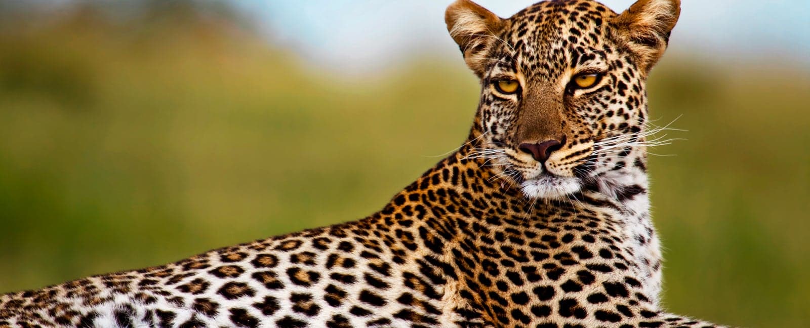 Maasai Mara National Reserve