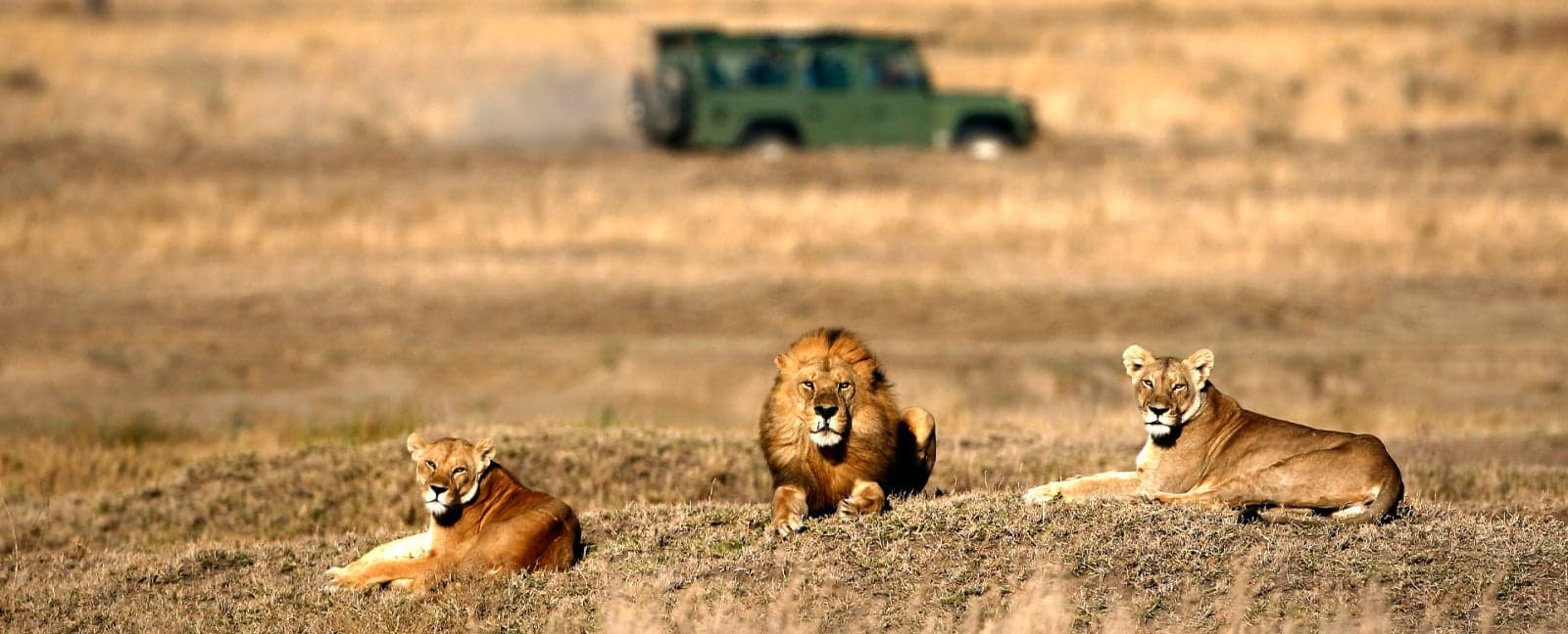 Serengeti National Park