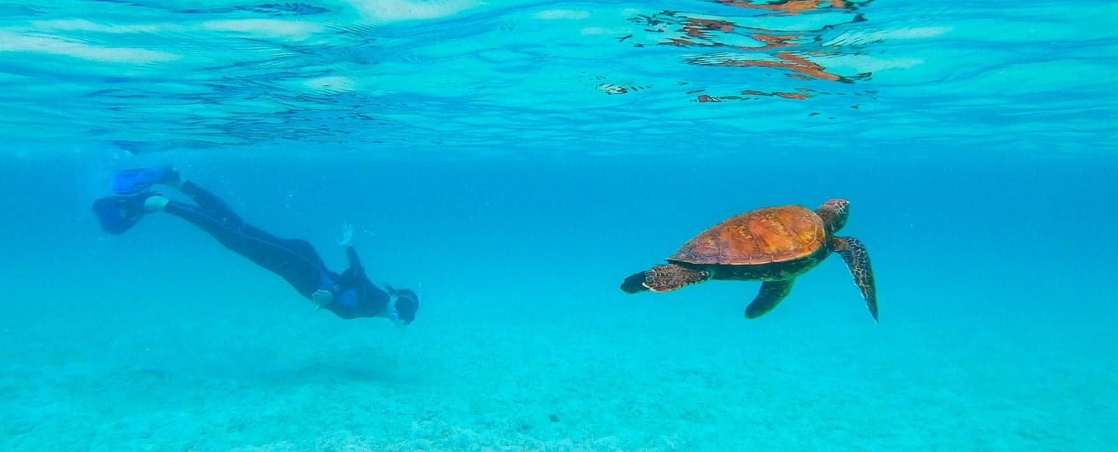 Isabela Island, Galapagos