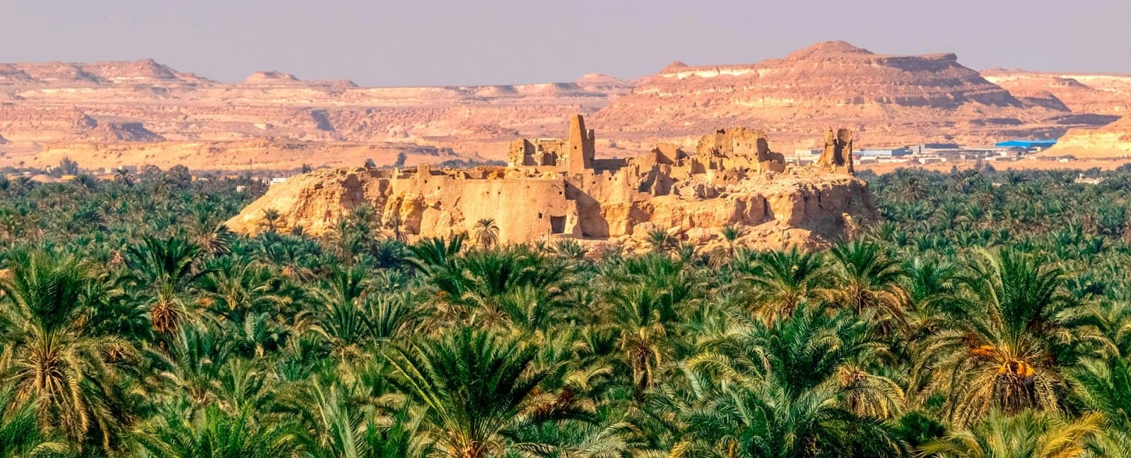 Siwa - Cairo
