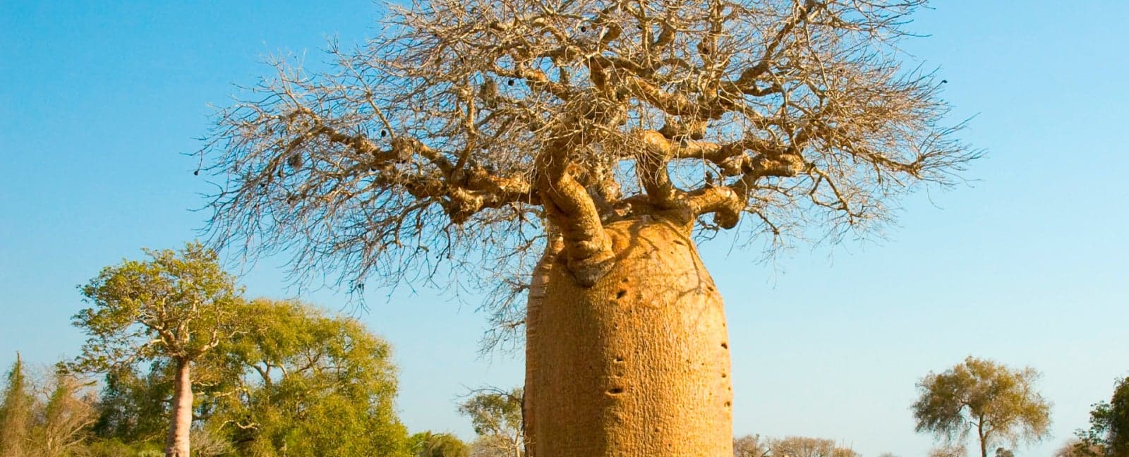 Ranohira - Parque Nacional de Isalo