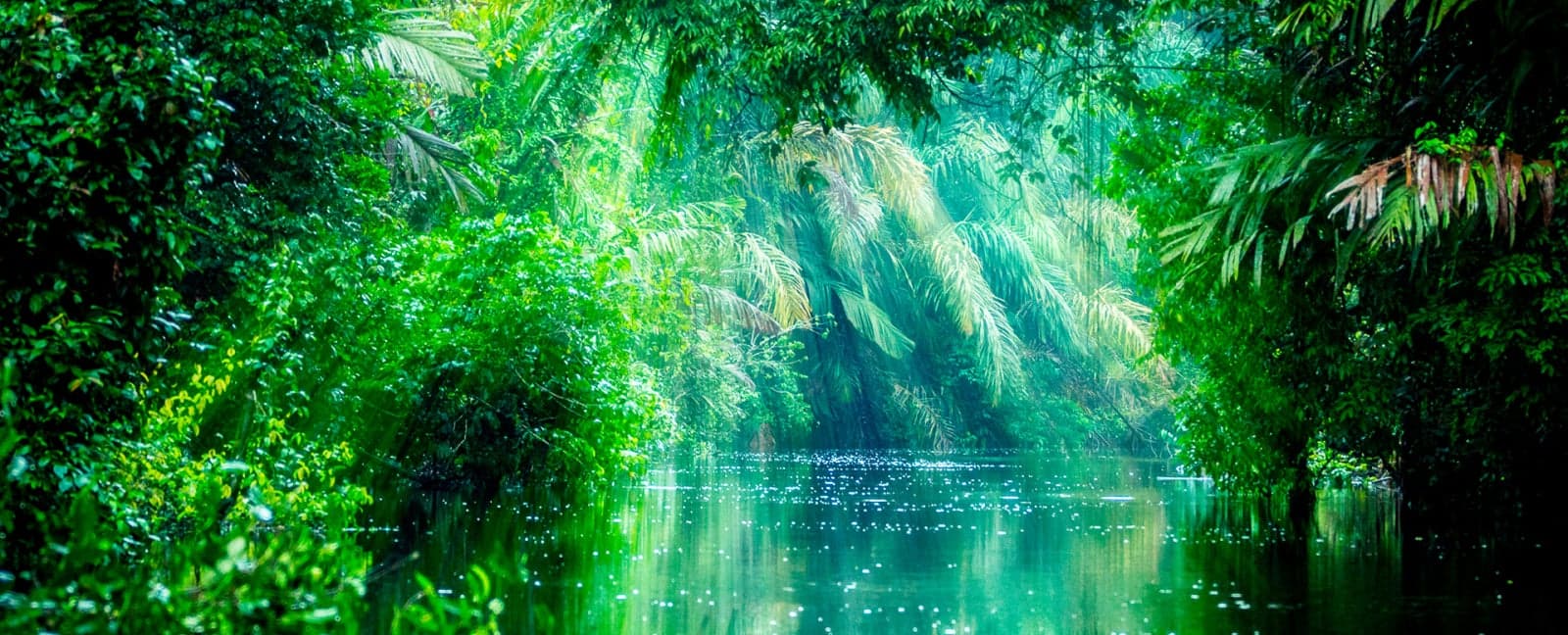 San José - Tortuguero