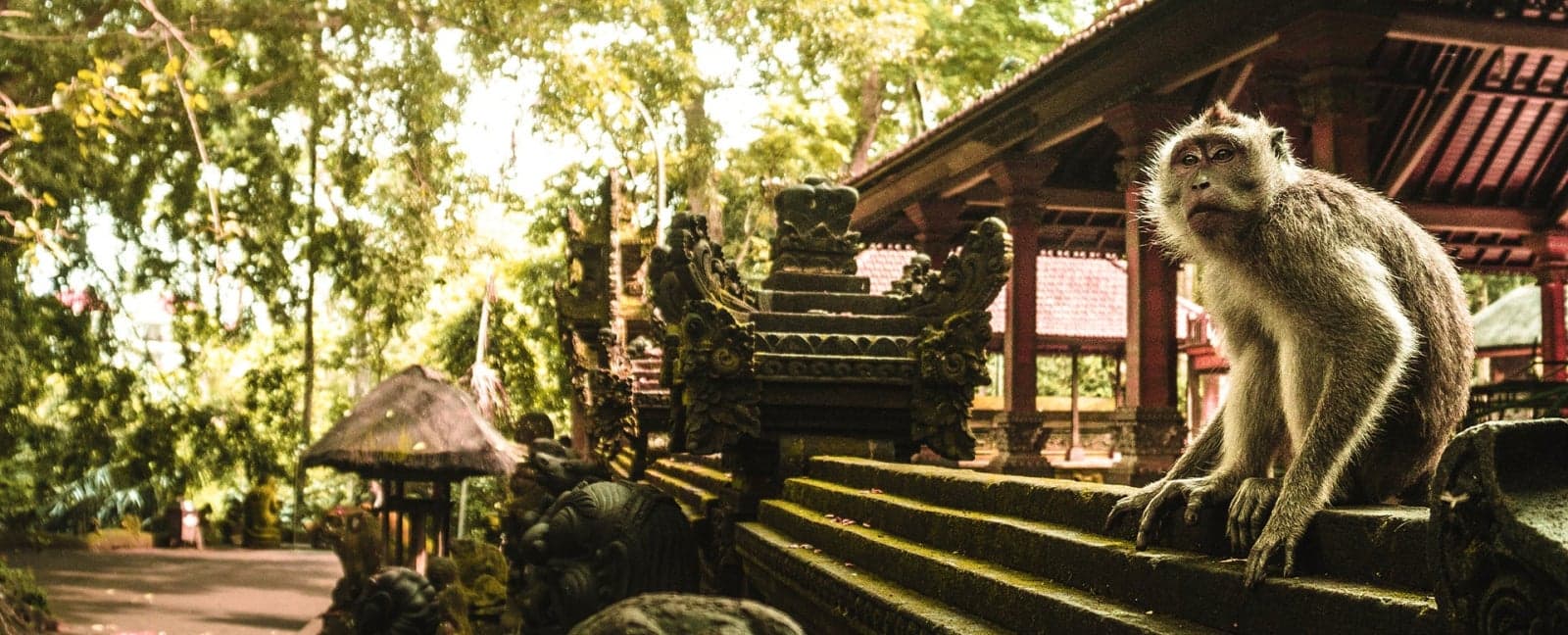 Ubud