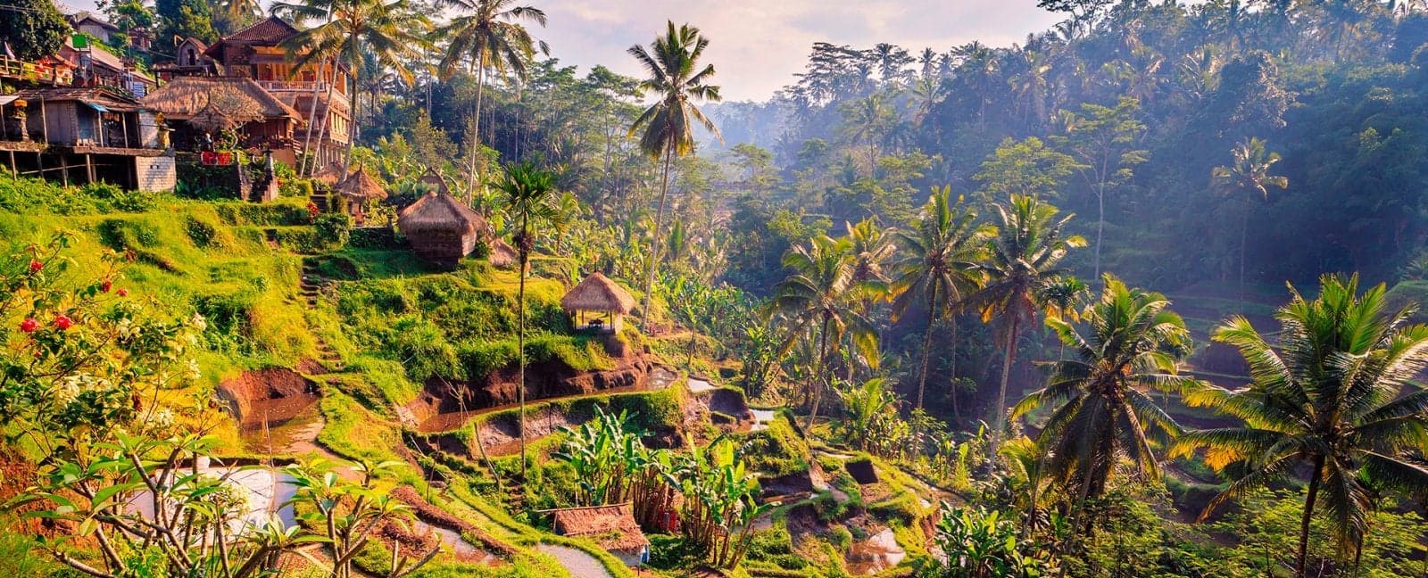 Yogyakarta - Ubud