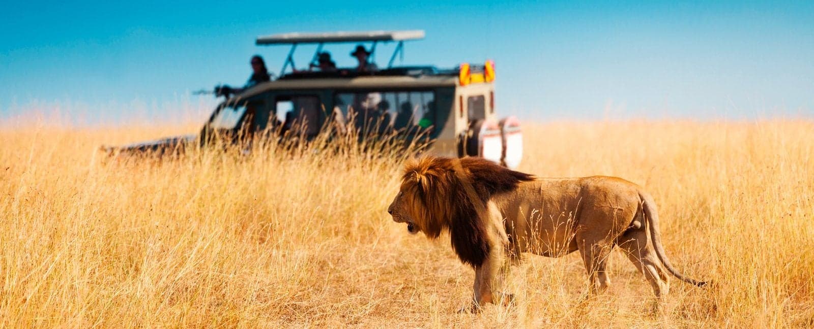 Amboseli National Park - Nairobi