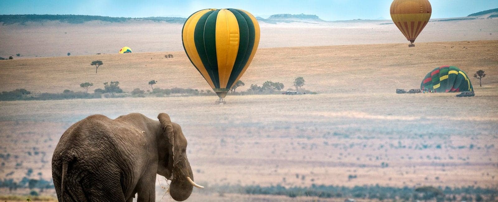 Nakuru - Masaai Mara