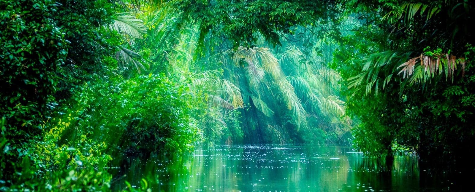 San José - Tortuguero