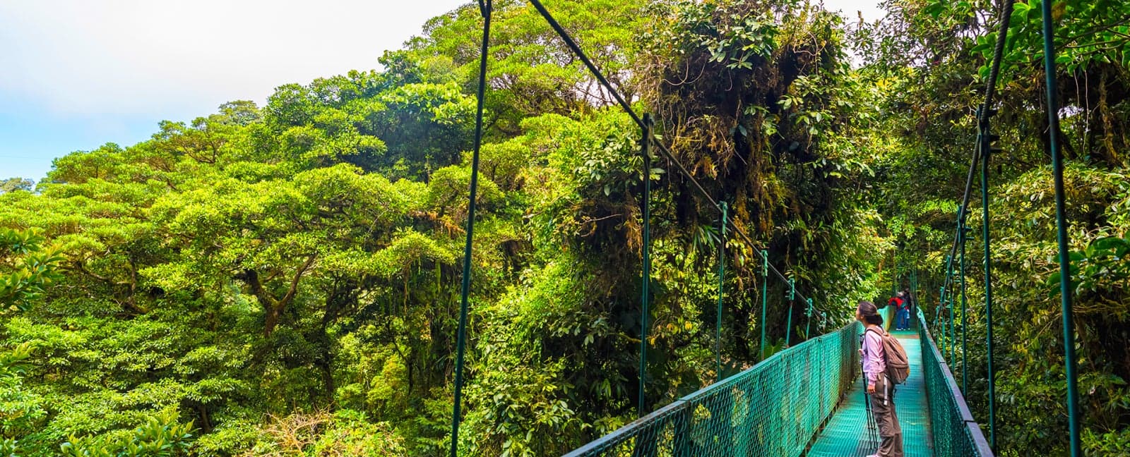 Monteverde