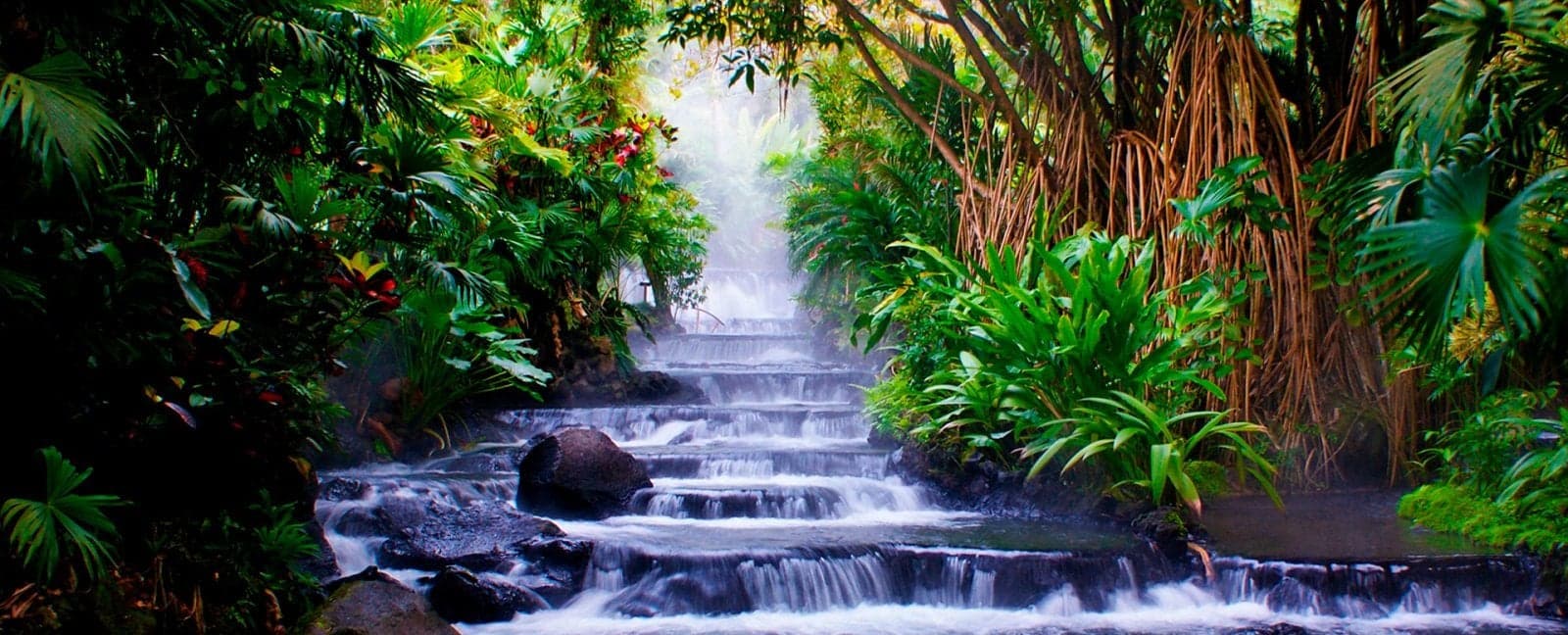 San José - Arenal