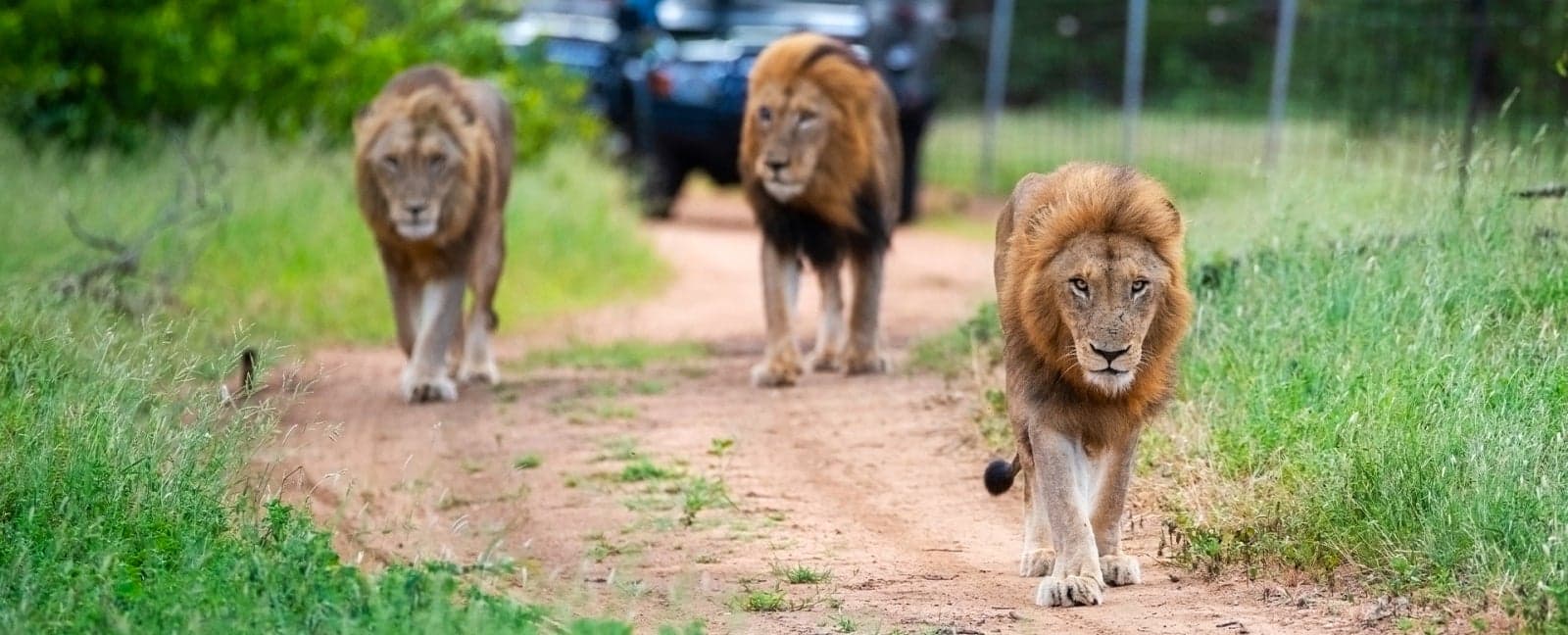 Kruger National Park