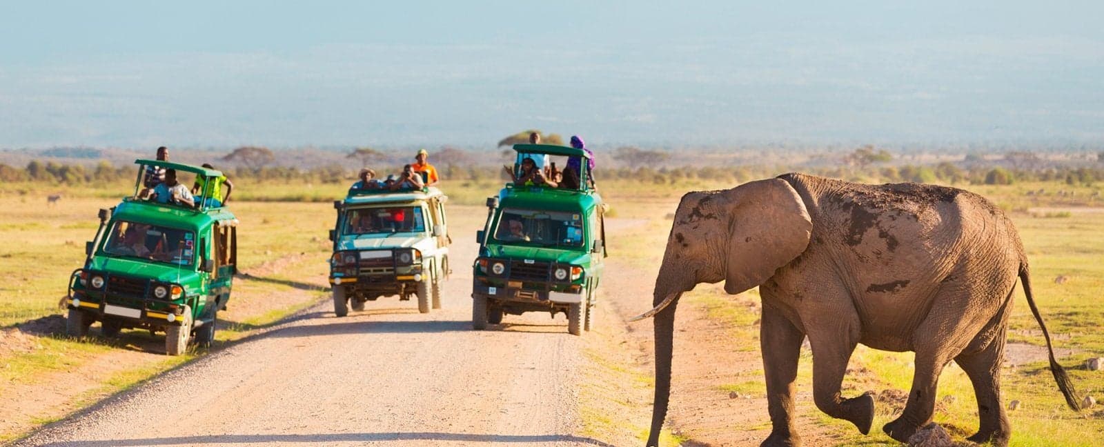 Amboseli National Park - Nairobi