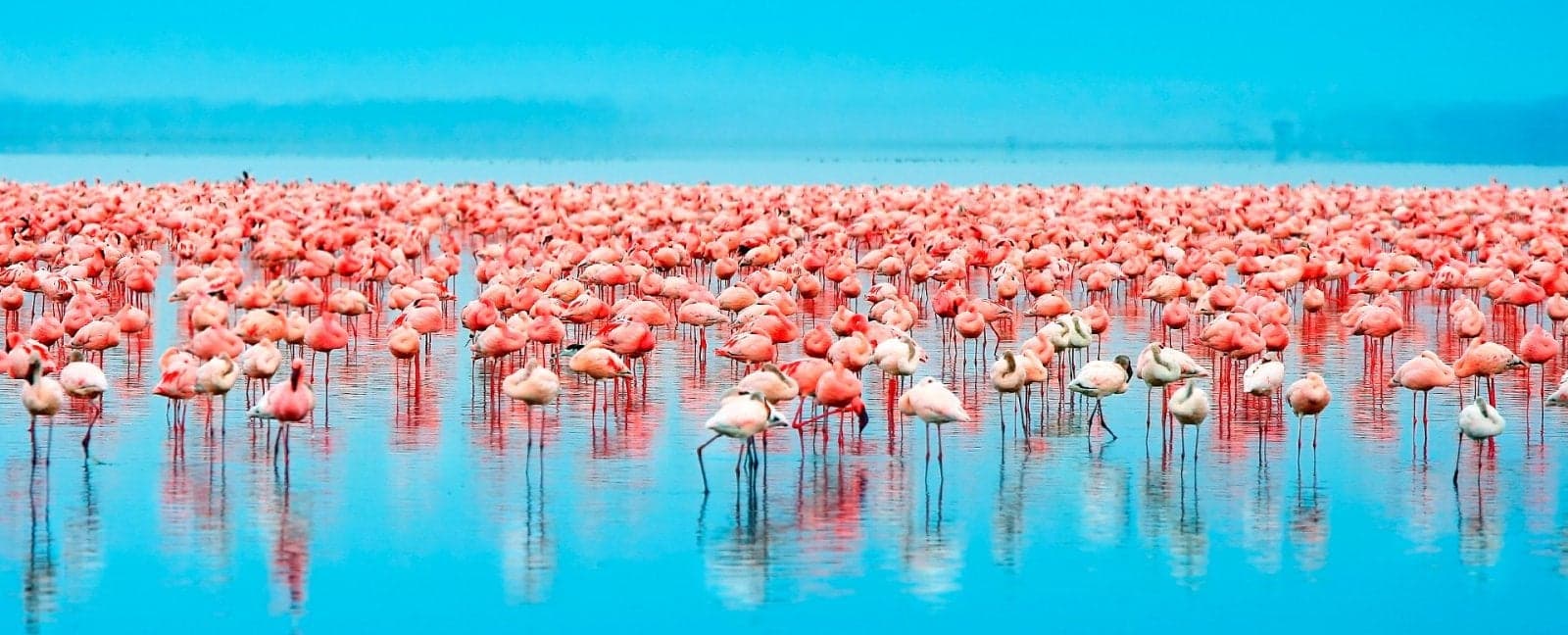 Aberdares - Lake Nakuru