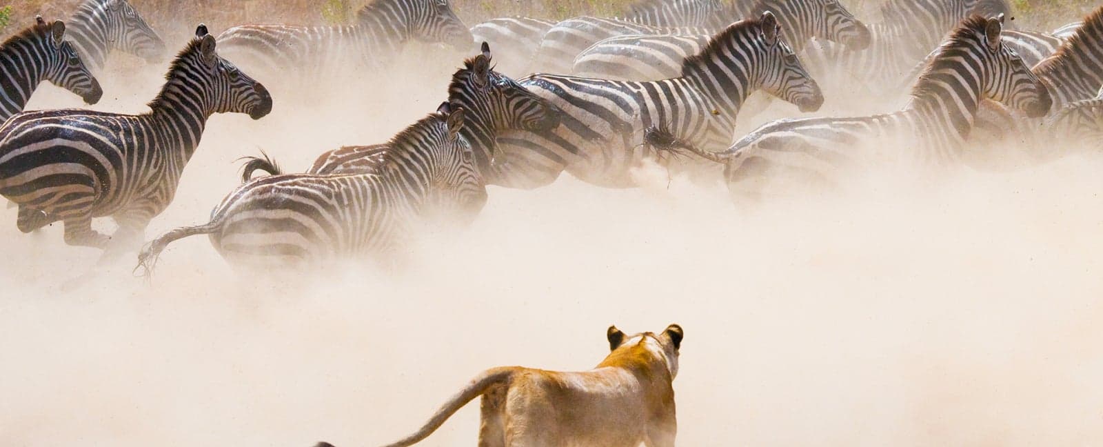 Kruger National Park