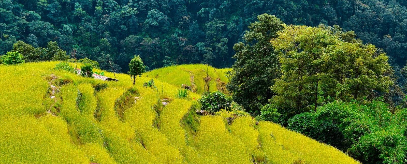 Nagarkot