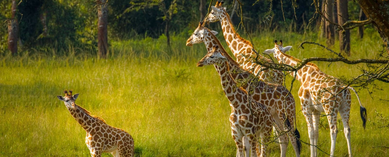 Parque Nacional del Lago Mburo
