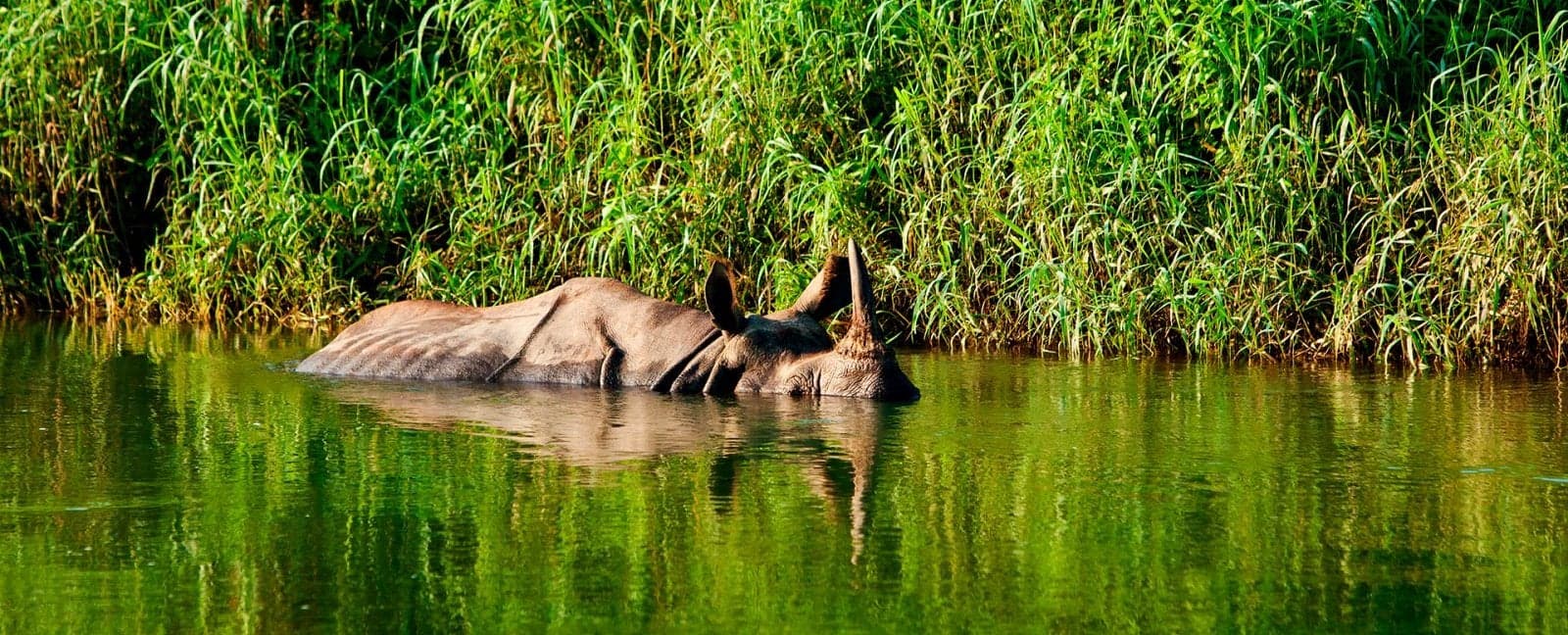 Chitwan