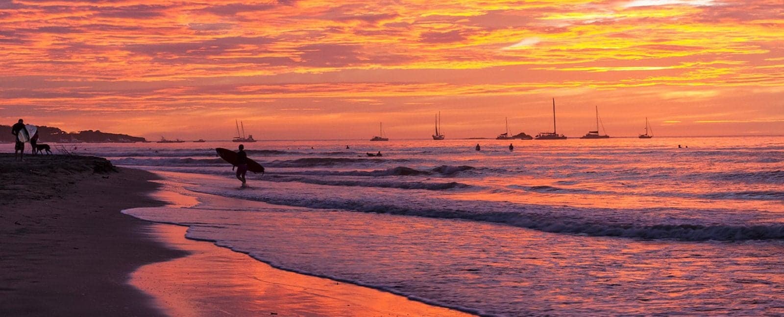 Tamarindo - San José