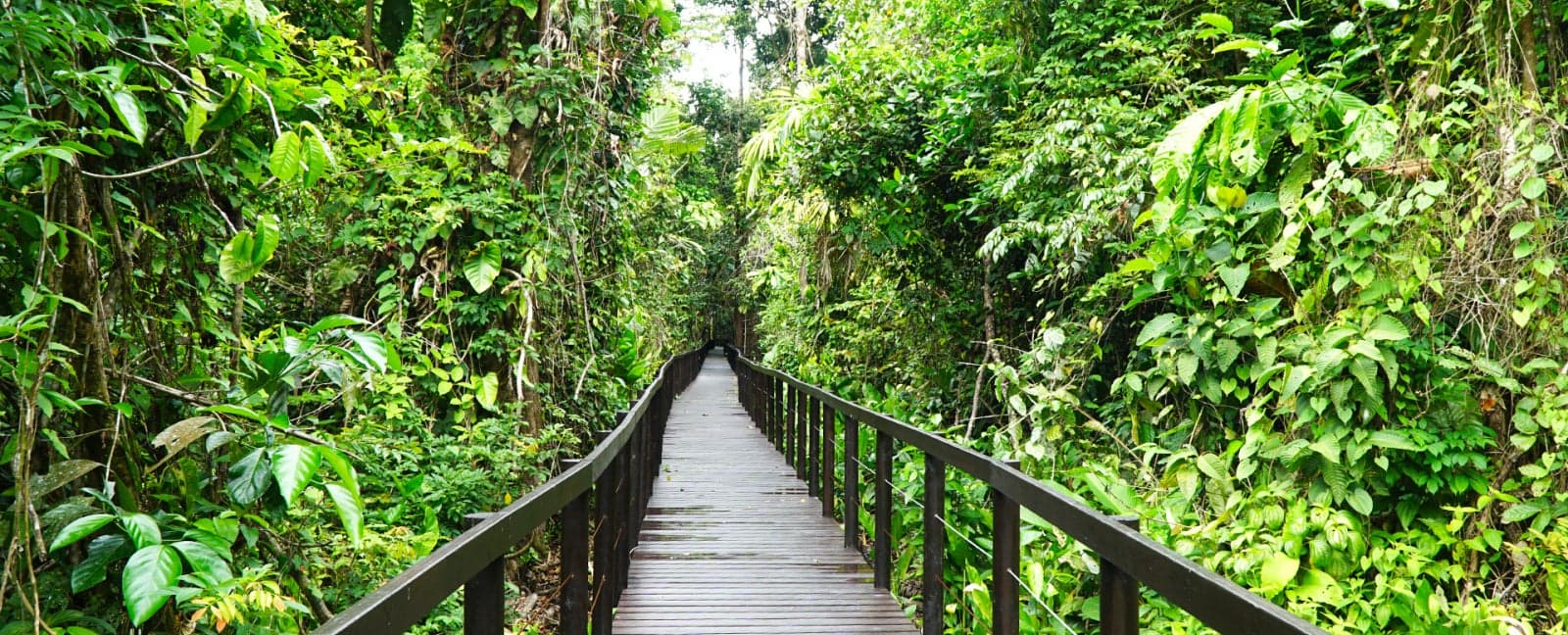 Puerto Viejo - Cahuita National Park - Puerto Viejo