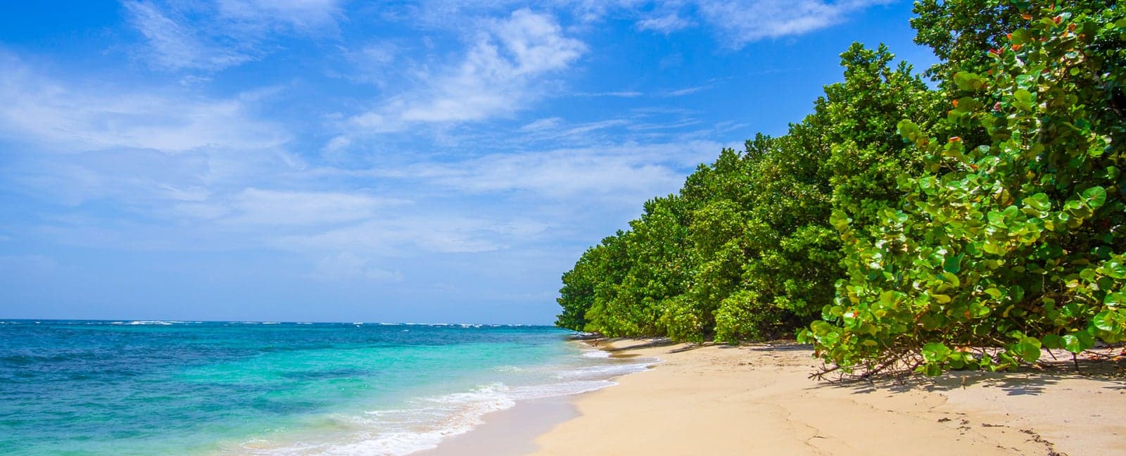 Bocas del Toro - Cayo Coral - Cayo Zapatilla - Bocas del Toro