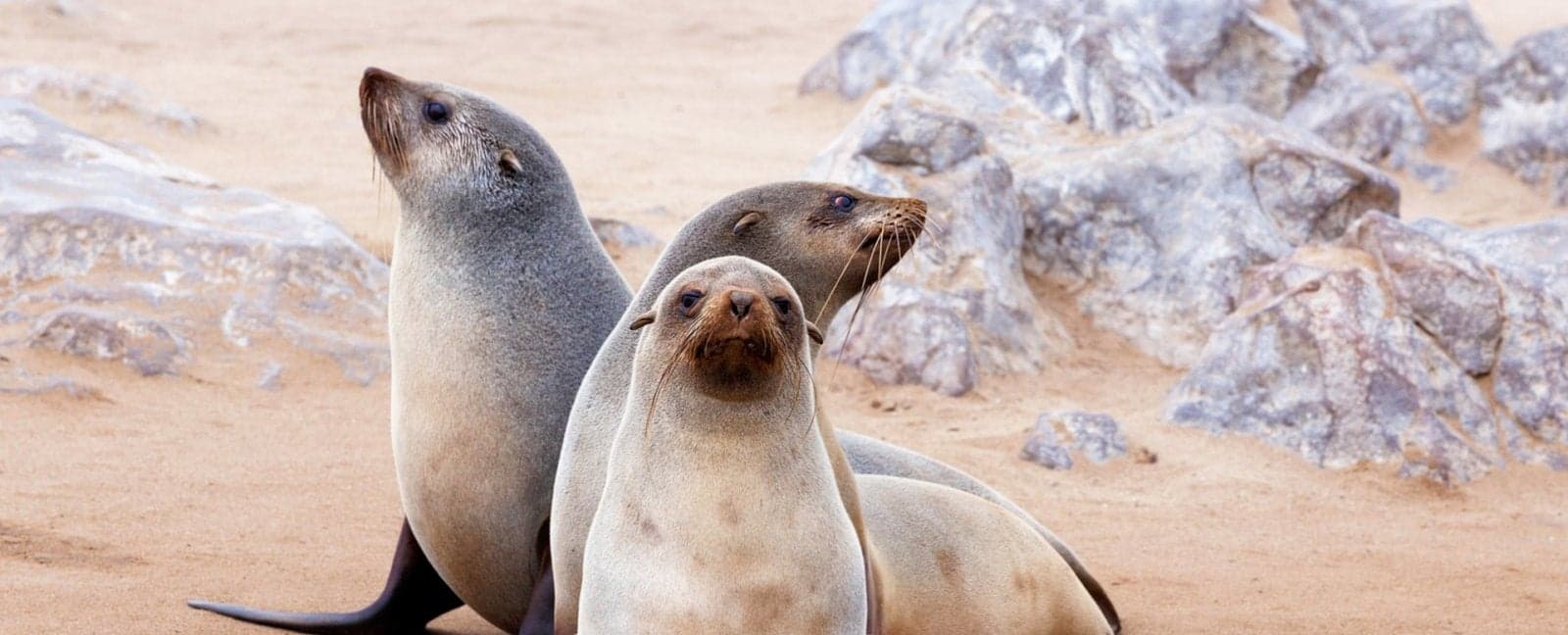 Damaraland - Swakopmund