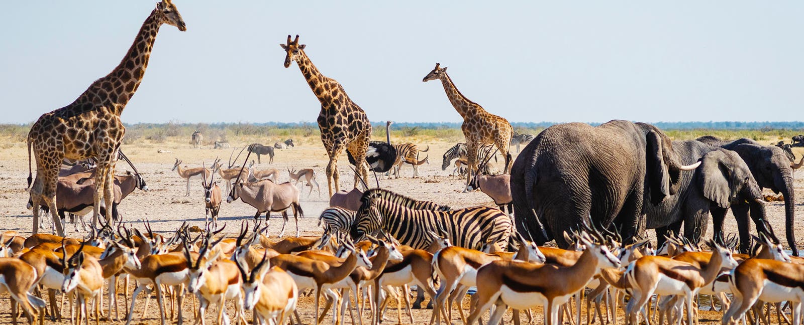 Otjiwarongo to Etosha National Park-photo