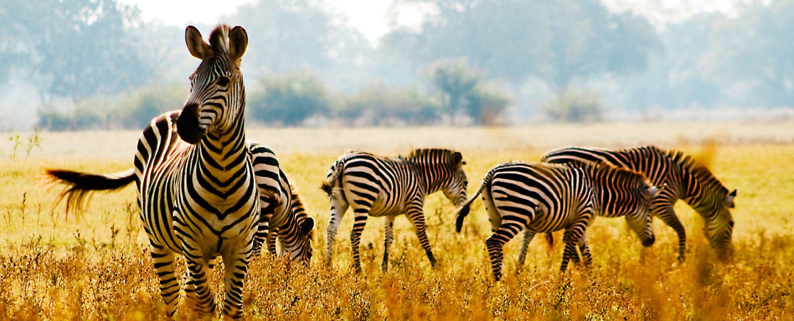 Kruger National Park