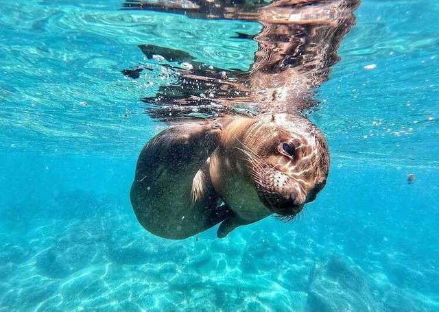 The Ecuador & Galapagos trip was a fabulous experience