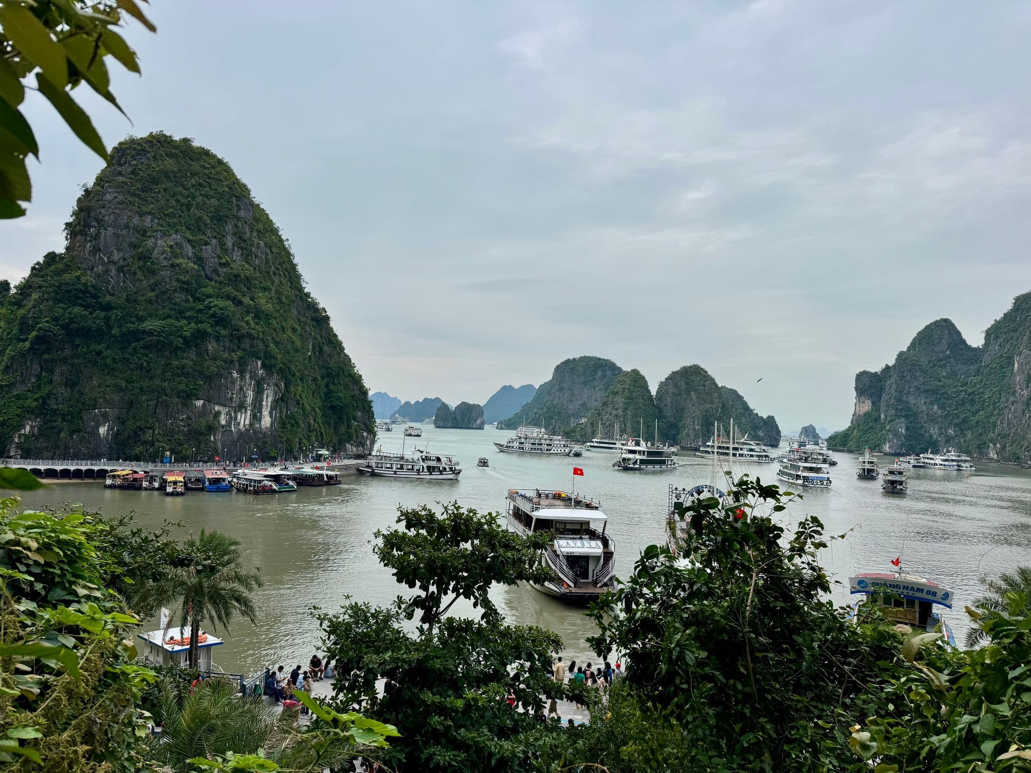 Ha Long Bay limestone karsts with many tour boats clustered in the water, seen from a leafy shoreline in Quang Ninh, Vietnam