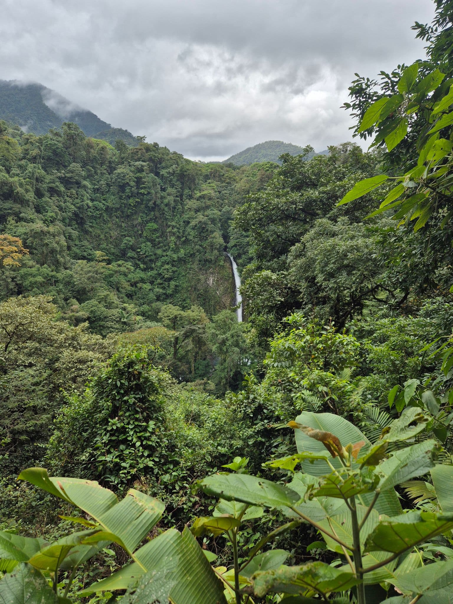A narrow waterfall cascading through dense rainforest in the Arenal/La Fortuna area, Costa Rica.