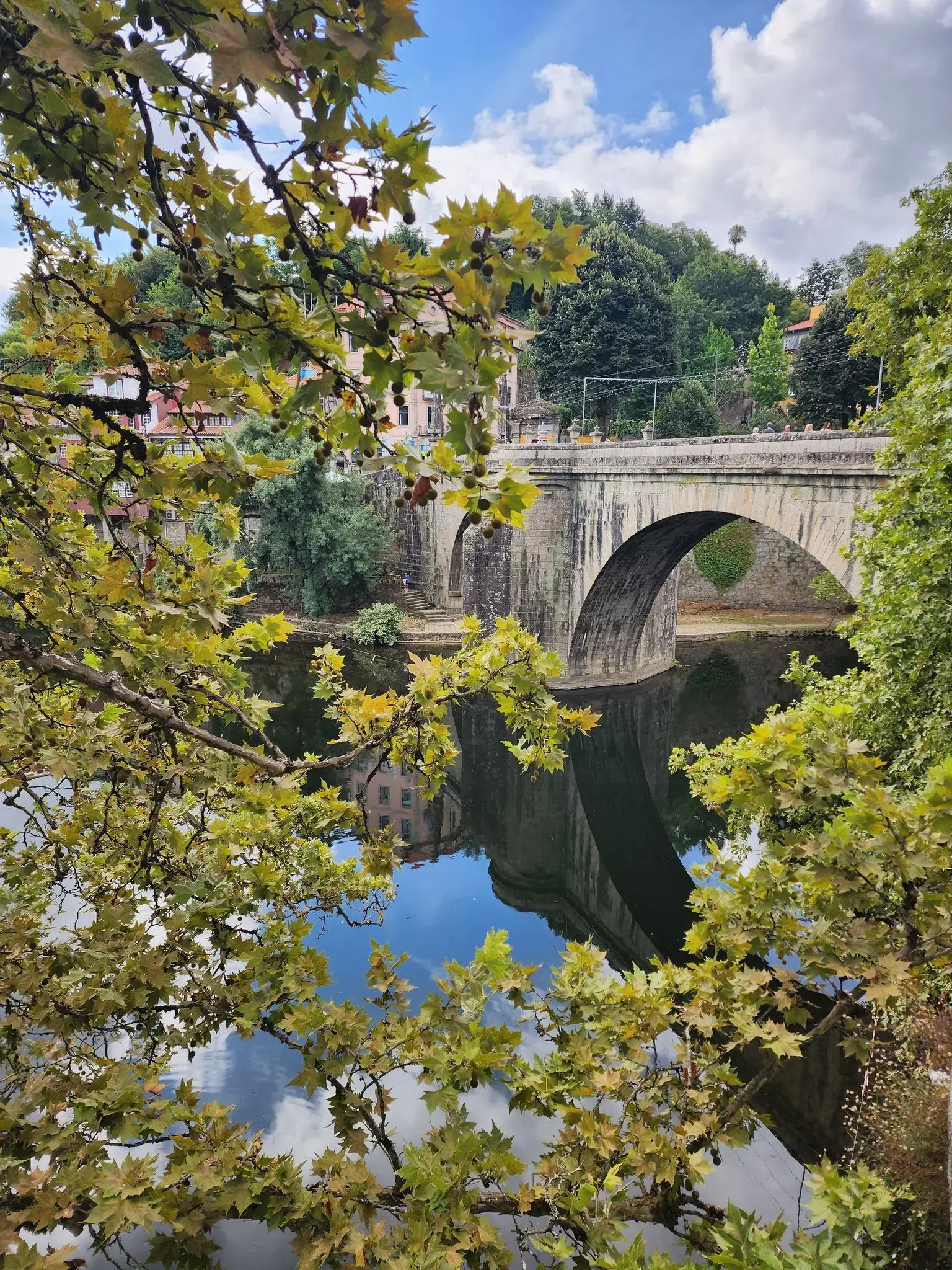 Ponte de São Gonçalo arching over the Tâmega River with its reflection, framed by leafy branches in Amarante, Portugal.