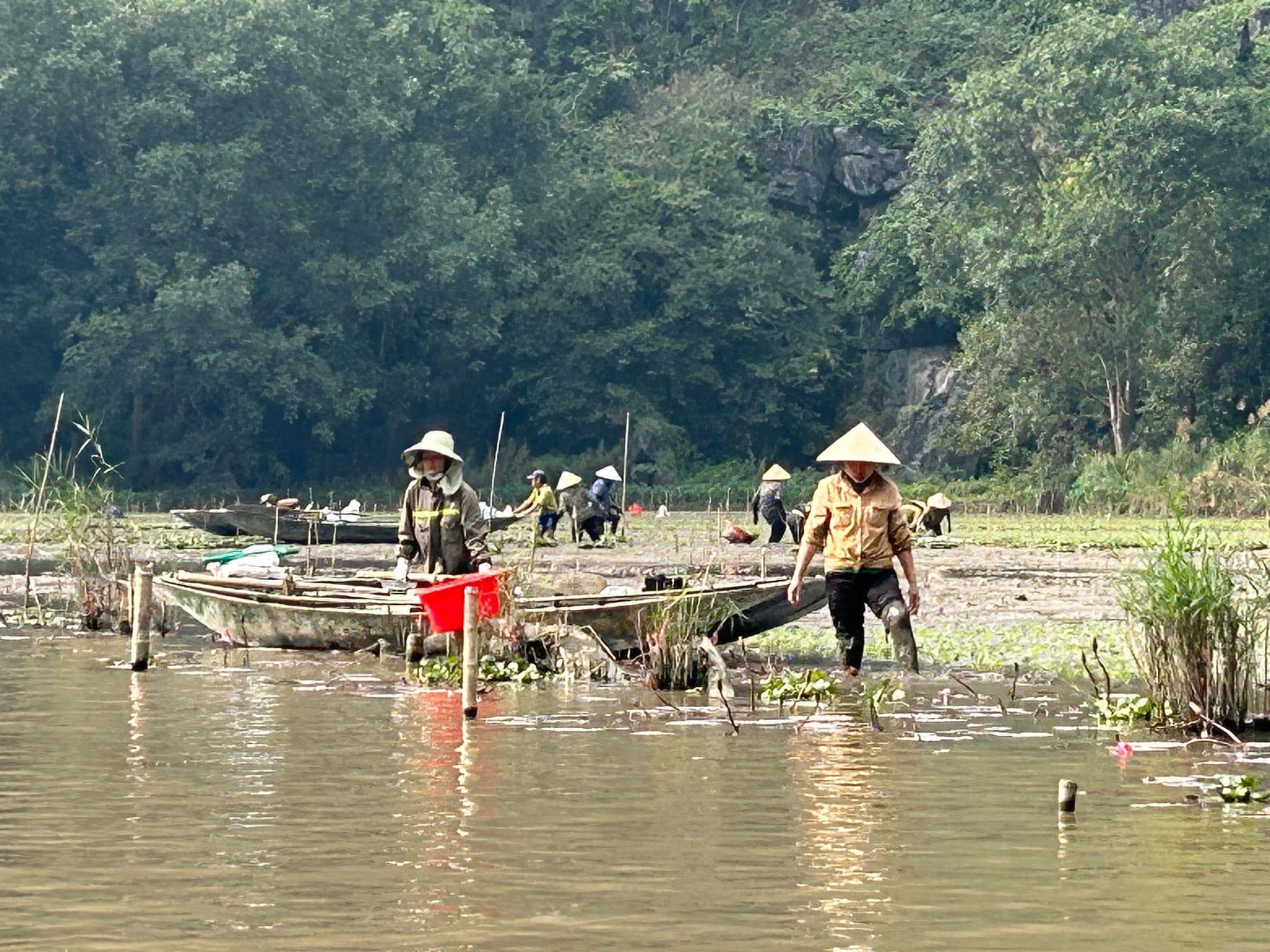 People in conical hats working by small boats on the Red River with limestone cliffs near Ninh Bình, Vietnam.