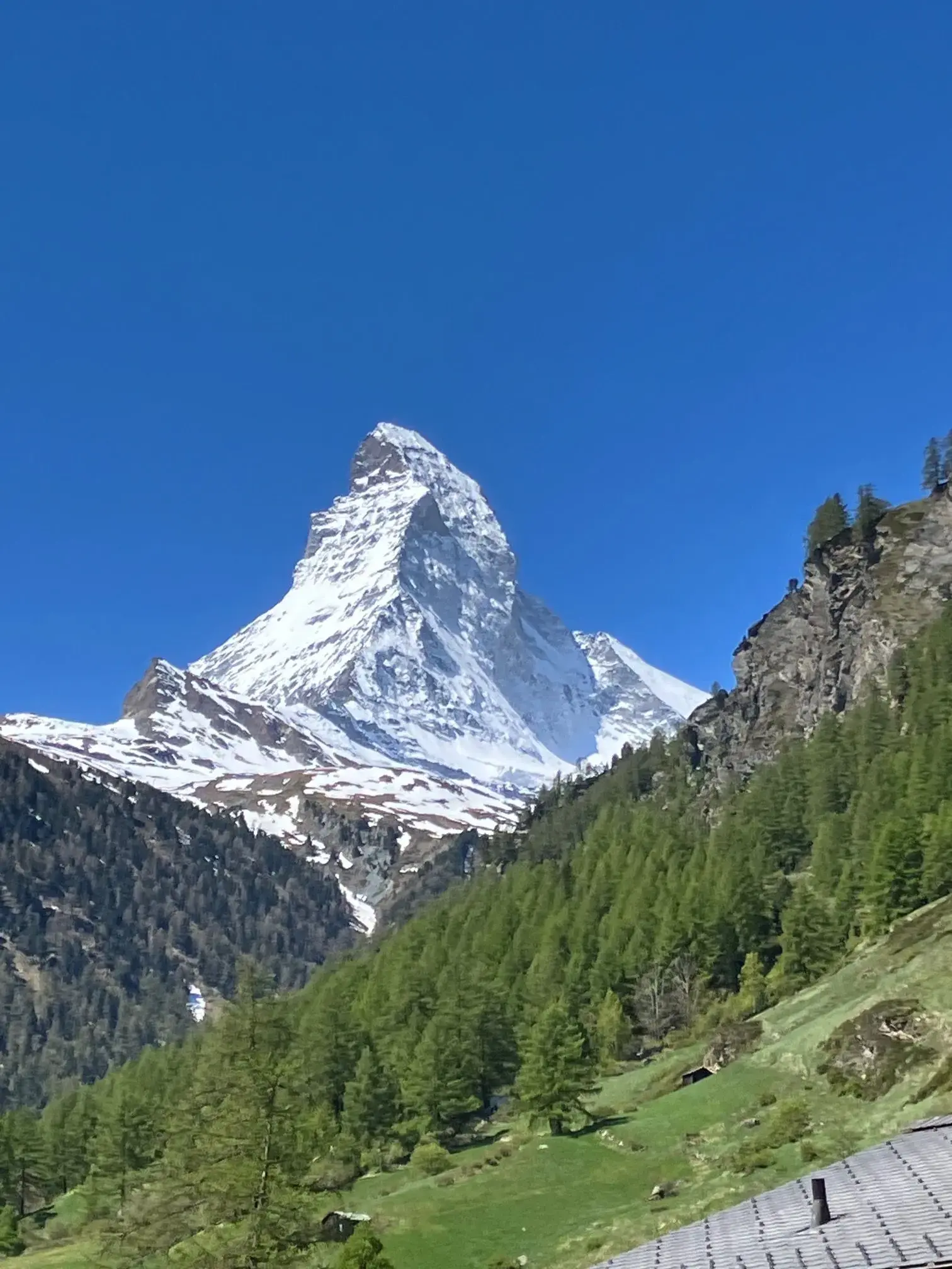 Matterhorn rising above alpine forest and green slopes near Zermatt, Switzerland.