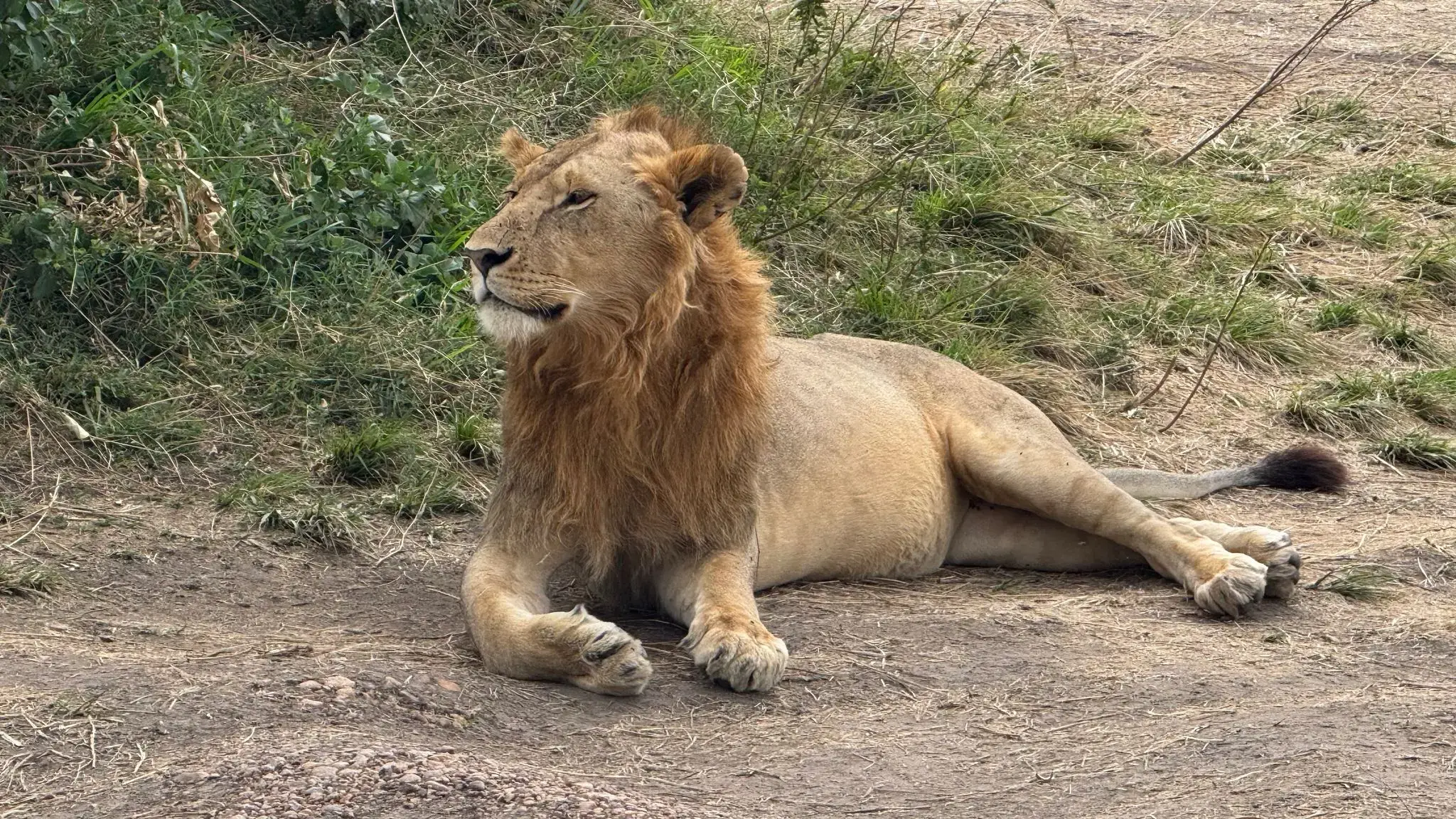 UGC content by Karen