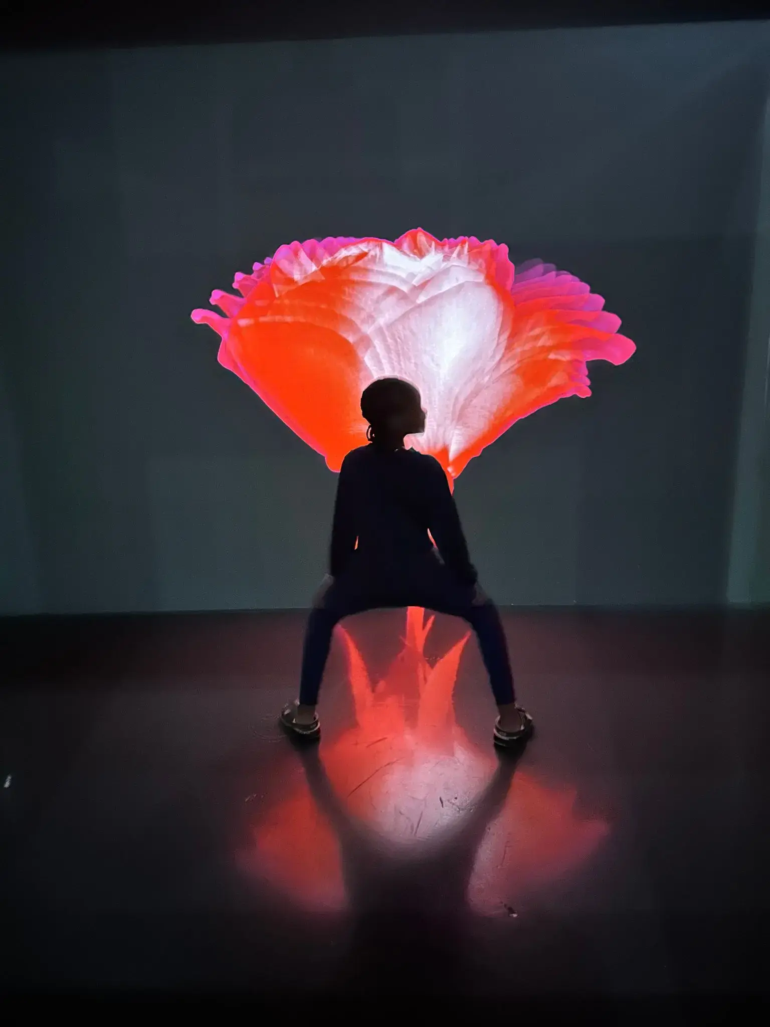 Large red flower projection behind a silhouetted person seated in an exhibit at The Dubai Mall, United Arab Emirates.
