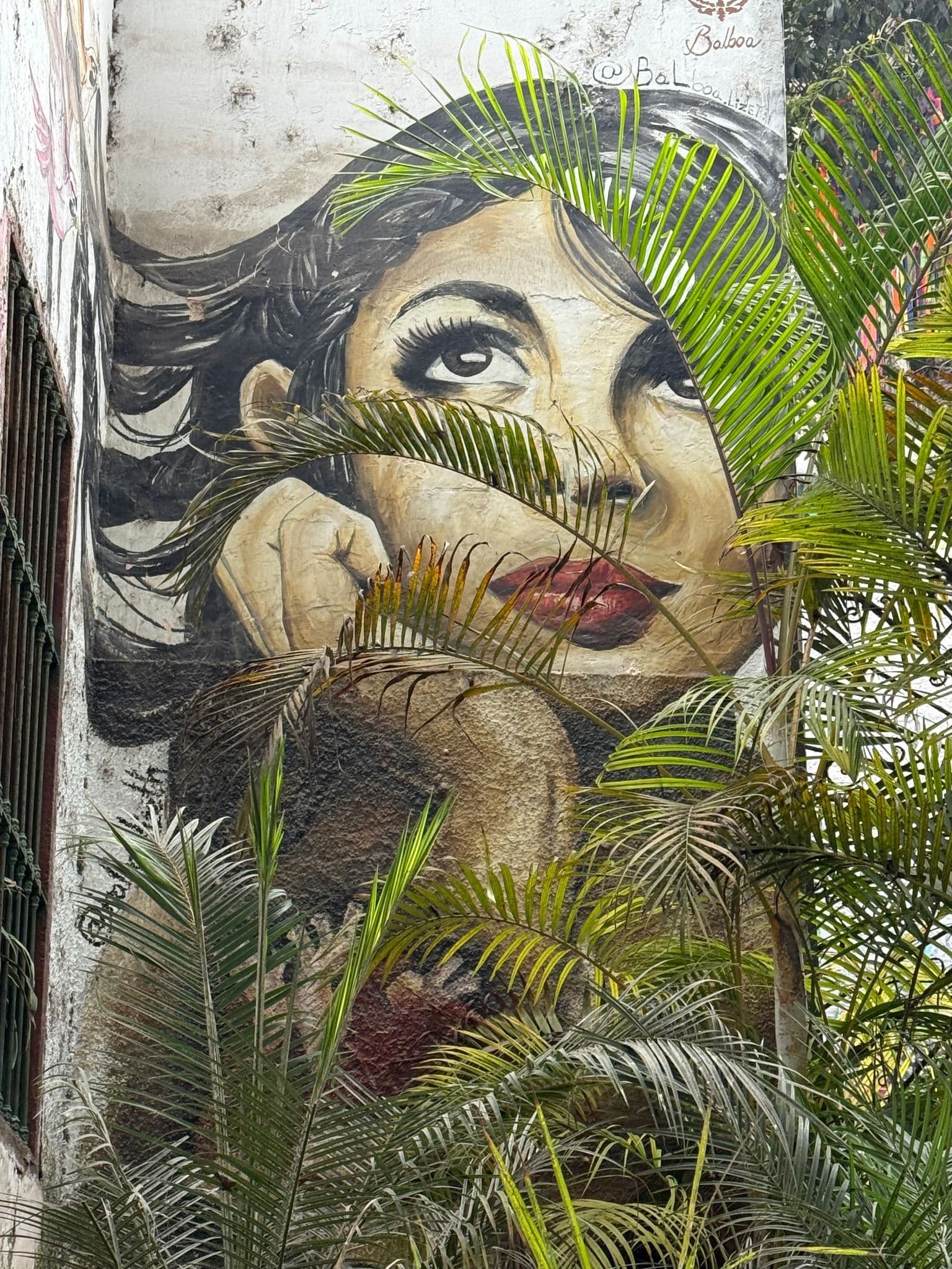 Large painted mural of a woman’s face on a building, partially obscured by palm fronds in Lima, Peru.