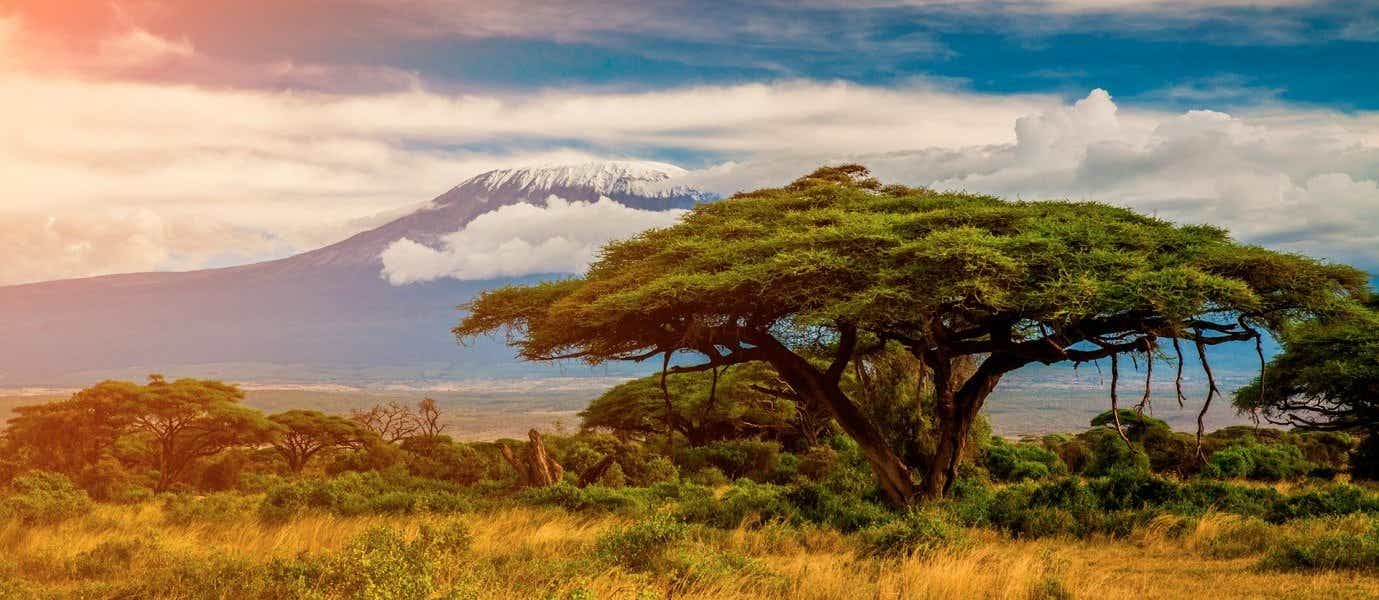 View of Mount Kilimanjaro <span class="iconos separador"></span> Amboseli <span class="iconos separador"></span> Kenya