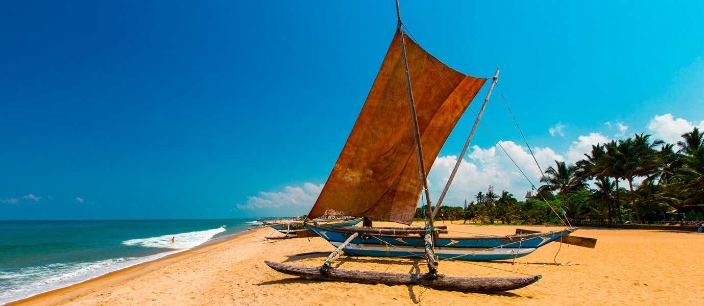 Fishing Boat <span class="iconos separador"></span> Negombo