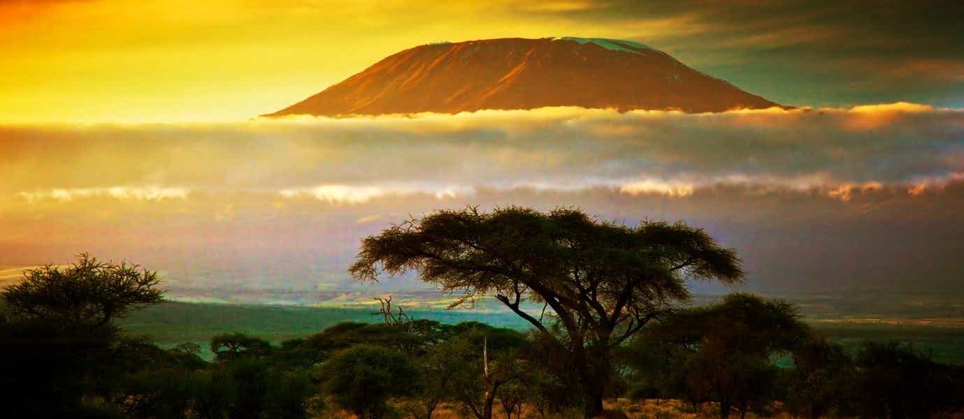 View of Mount Kilimanjaro <span class="iconos separador"></span> Amboseli National Park <span class="iconos separador"></span> Kenya