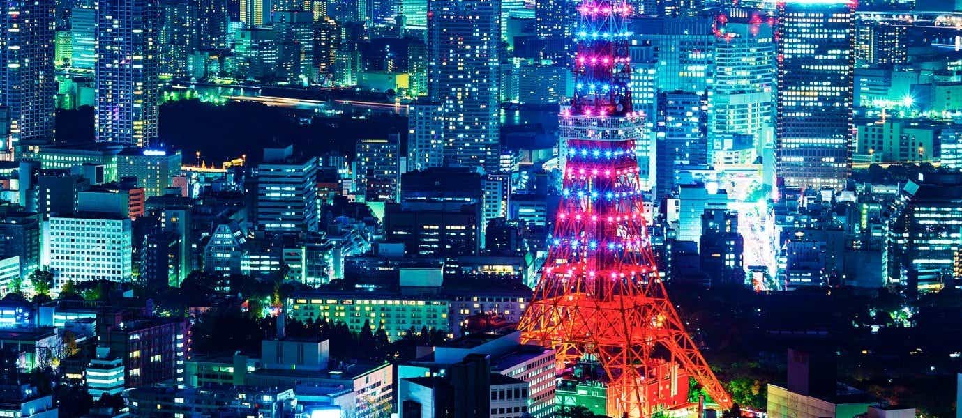 Tokyo Skyline <span class="iconos separador"></span> Japan