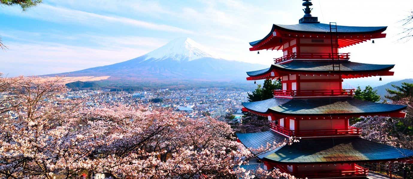 View of Mount Fuji <span class="iconos separador"></span> Japan