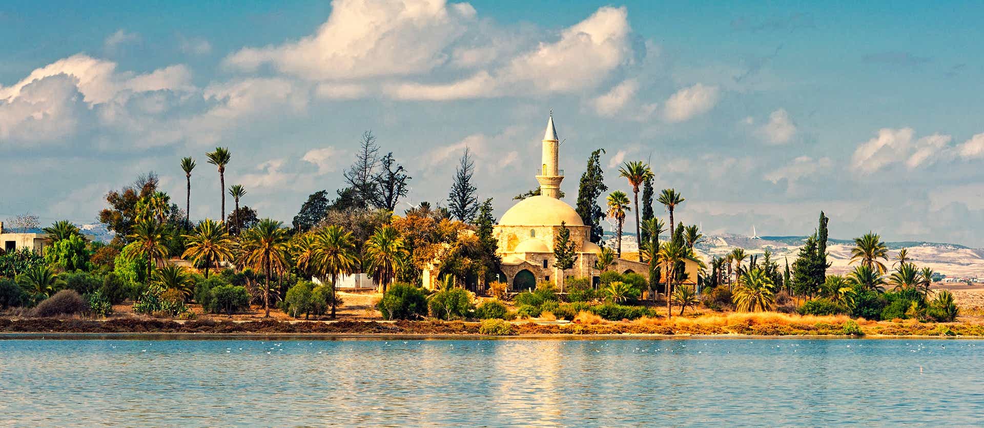 Hala Sultan Mosque <span class="iconos separador"></span> Larnaca