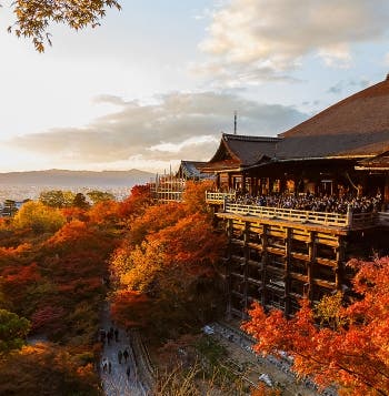 Escorted Japan & Buddhist Temple Lodging