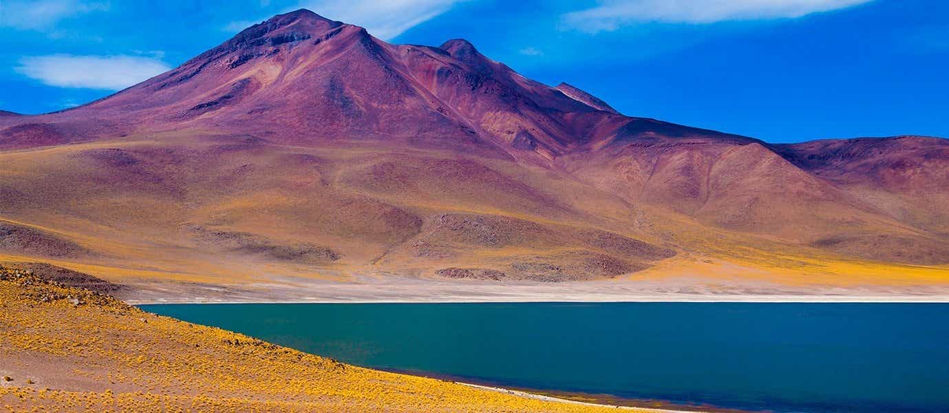 Altiplanic Lagoons <span class="iconos separador"></span> San Pedro de Atacama