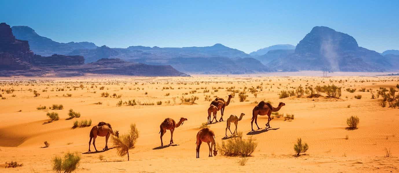 Desierto de Wadi Rum <span class="iconos separador"></span> Jordania