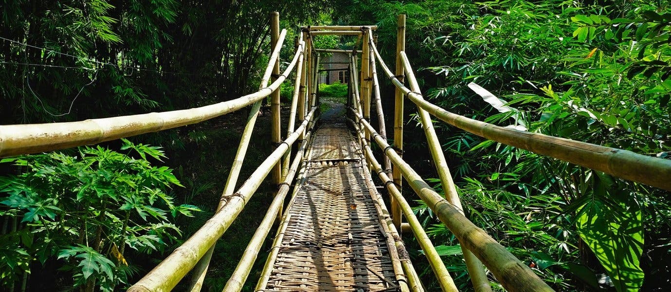 Puente tradicional de bambú <span class="iconos separador"></span>Java