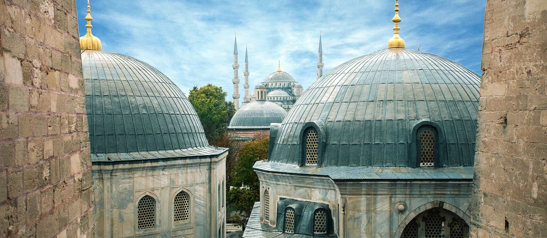 Mezquita Azul <span class="iconos separador"></span> Estambul
